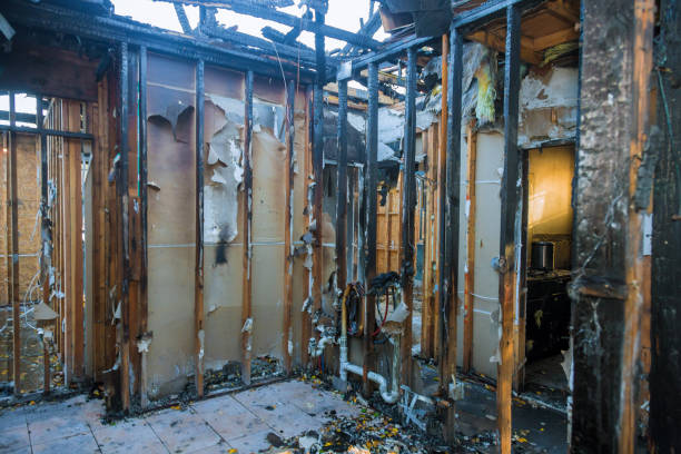 Professional Fire Damage Removal technician working in Lamar, TX